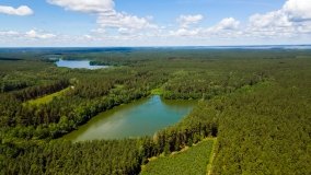 Jezioro Niecponek - zdjęcie 19