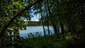 Jezioro Niecponek - zdjęcie 18