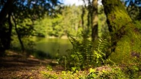 Jezioro Niecponek - zdjęcie 17