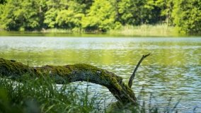 Jezioro Niecponek - zdjęcie 16