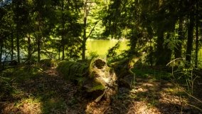 Jezioro Niecponek - zdjęcie 14