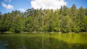 Jezioro Niecponek - zdjęcie 12