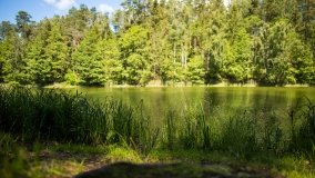 Jezioro Niecponek - zdjęcie 11