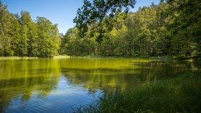 Jezioro Niecponek - zdjęcie 10