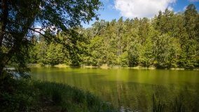 Jezioro Niecponek - zdjęcie 9