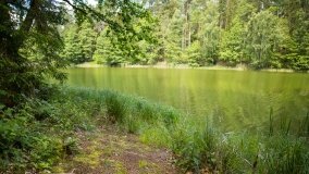 Jezioro Niecponek - zdjęcie 6