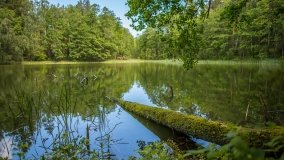 Jezioro Niecponek - zdjęcie 5