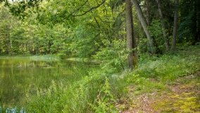 Jezioro Niecponek - zdjęcie 4