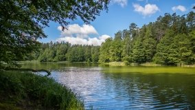 Jezioro Niecponek - zdjęcie 3