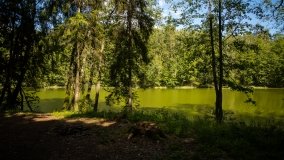 Jezioro Niecponek - zdjęcie 2