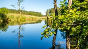 Jezioro Jaśkowo Duże - zdjęcie 22