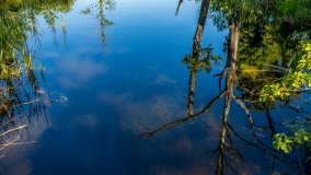 Jezioro Jaśkowo Duże - zdjęcie 21