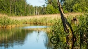 Jezioro Jaśkowo Duże - zdjęcie 20