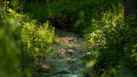 Jezioro Jaśkowo Duże - zdjęcie 19