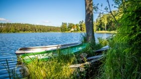 Jezioro Jaśkowo Duże - zdjęcie 15