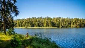 Jezioro Jaśkowo Duże - zdjęcie 12