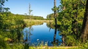 Jezioro Jaśkowo Duże - zdjęcie 11