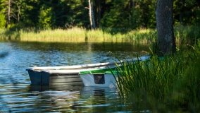 Jezioro Jaśkowo Duże - zdjęcie 9