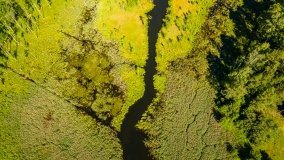 Jezioro Jaśkowo Duże - zdjęcie 7