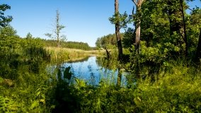 Jezioro Jaśkowo Duże - zdjęcie 6