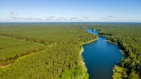 Jezioro Jaśkowo Duże - zdjęcie 5