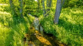 Jezioro Jaśkowo Duże - zdjęcie 3