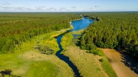 Jezioro Jaśkowo Duże - zdjęcie 2