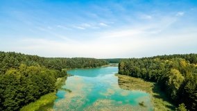 Jezioro Sawica - zdjęcie 15