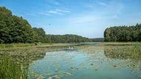 Jezioro Sawica - zdjęcie 13