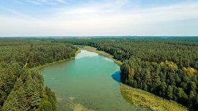 Jezioro Sawica - zdjęcie 6