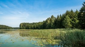 Jezioro Sawica - zdjęcie 5