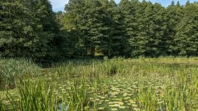 Jezioro Sawica - zdjęcie 2