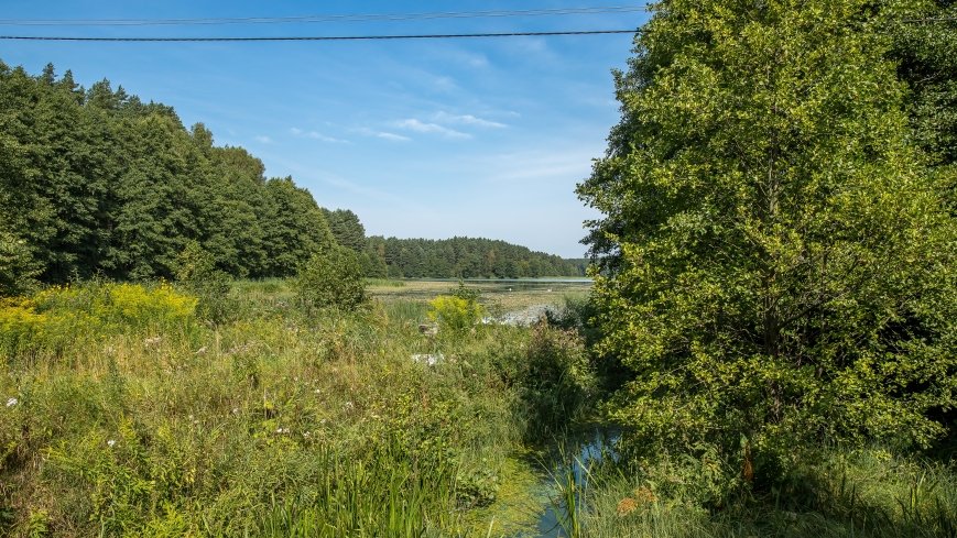 Jezioro Sawica - zdjęcie 1