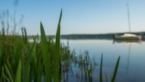 Jezioro Małszewskie - zdjęcie 14