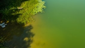 Jezioro Małszewskie - zdjęcie 12