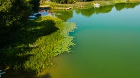 Jezioro Małszewskie - zdjęcie 11