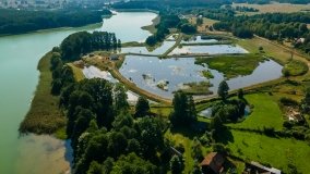 Jezioro Małszewskie - zdjęcie 10