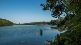 Jezioro Dłużek k. Jedwabna - zdjęcie 12