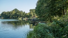 Jezioro Dłużek k. Jedwabna - zdjęcie 5