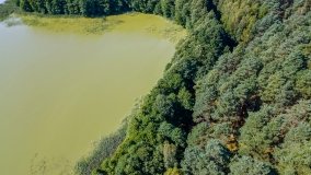 Jezioro Czarne k. Jedwabna - zdjęcie 8