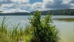 Jezioro Czarne k. Jedwabna - zdjęcie 6