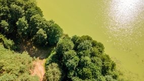 Jezioro Czarne k. Jedwabna - zdjęcie 5