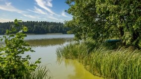 Jezioro Czarne k. Jedwabna - zdjęcie 3