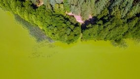 Jezioro Czarne k. Jedwabna - zdjęcie 2