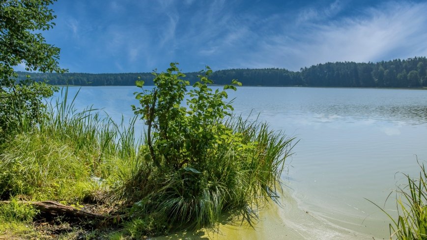 Jezioro Czarne k. Jedwabna - zdjęcie 1