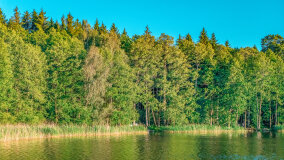 Jezioro Głęboka Kuta - zdjęcie 2