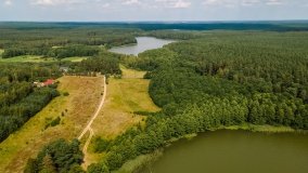 Jezioro Rekowe - zdjęcie 11