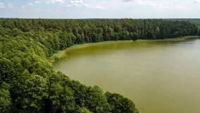 Jezioro Rekowe - zdjęcie 8