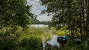 Jezioro Rekowe - zdjęcie 4