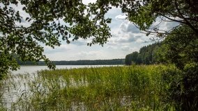 Jezioro Rekowe - zdjęcie 2